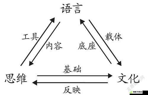 祖母和おばあちゃん的区别：语言与文化差异