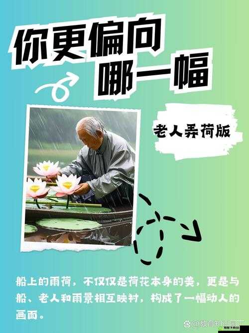 老人船上弄雨荷和普通版对比：差异何在