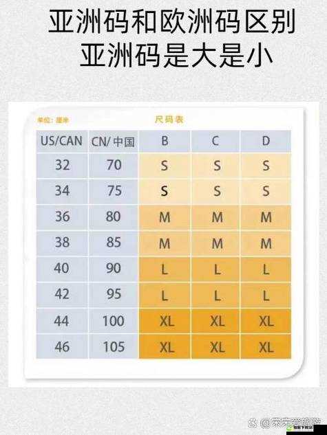 亚洲和欧洲一码二码区别在：从尺码到文化