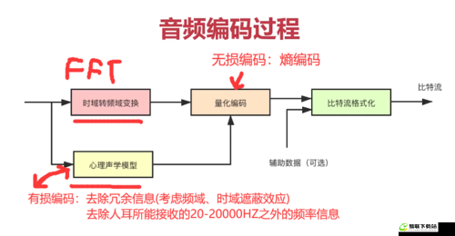 Java 视频音频编码技术应用与探索