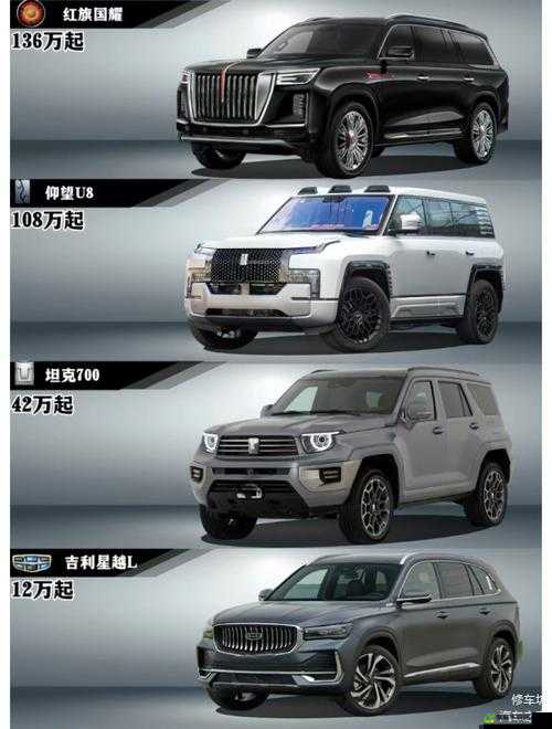 国产 SUV 精品一区二区四区三区：车型大赏