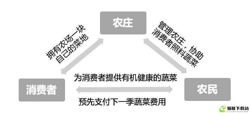 日本一线和三线的区别：发展与机遇的差异